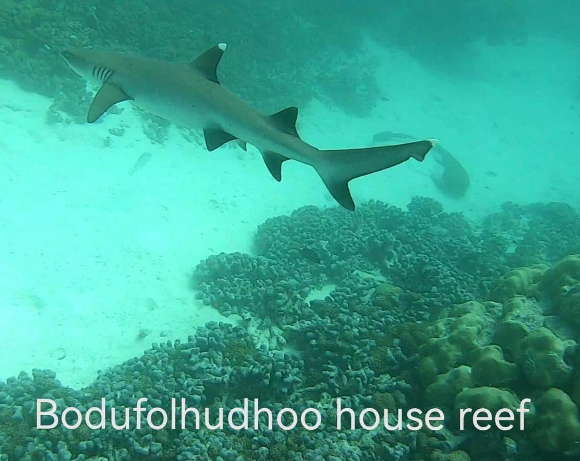 Surfretreat Hotel Bodufolhudhoo Ngoại thất bức ảnh