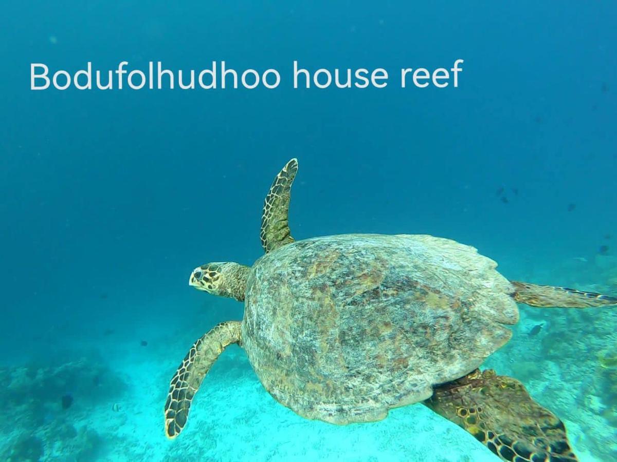 Surfretreat Hotel Bodufolhudhoo Ngoại thất bức ảnh