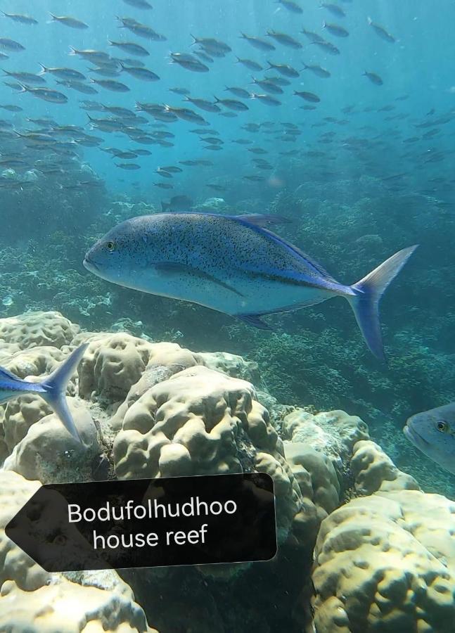 Surfretreat Hotel Bodufolhudhoo Ngoại thất bức ảnh